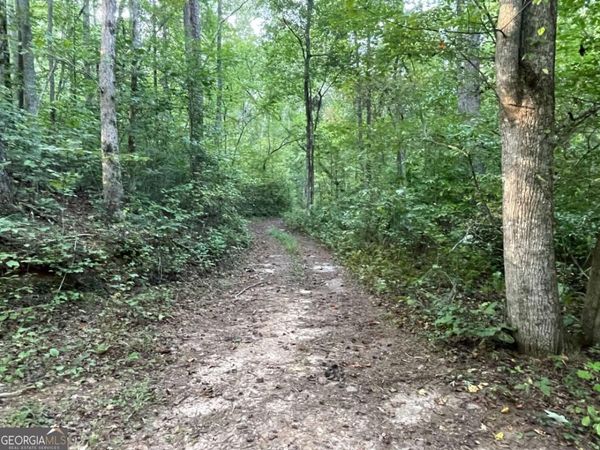 201 Black Bear Trace, Dawsonville, GA 30534