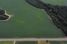 Tbd Highway 9 photo 4