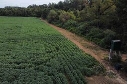 Tbd Highway 9 photo 4