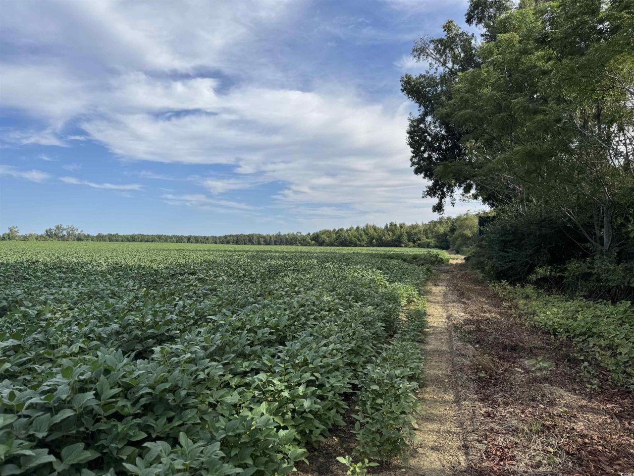 Tbd Highway 9 Photo 5