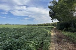 Tbd Highway 9 photo 4