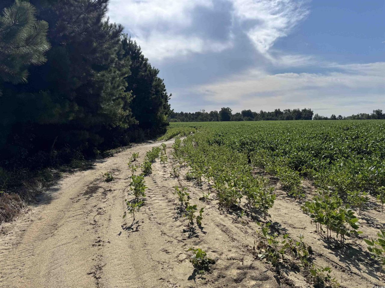 Tbd Highway 9 Photo 8