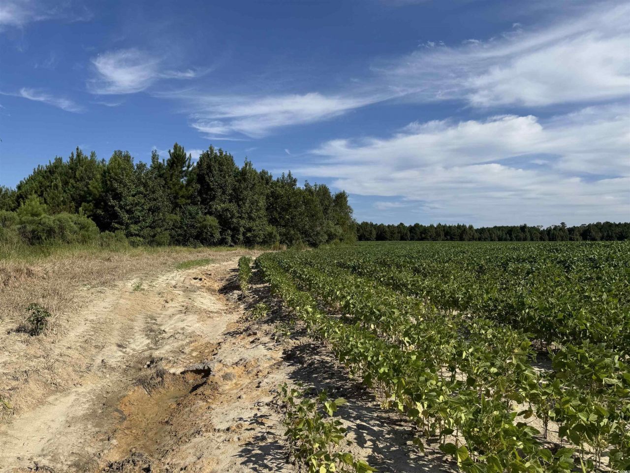 Tbd Highway 9 Photo 9