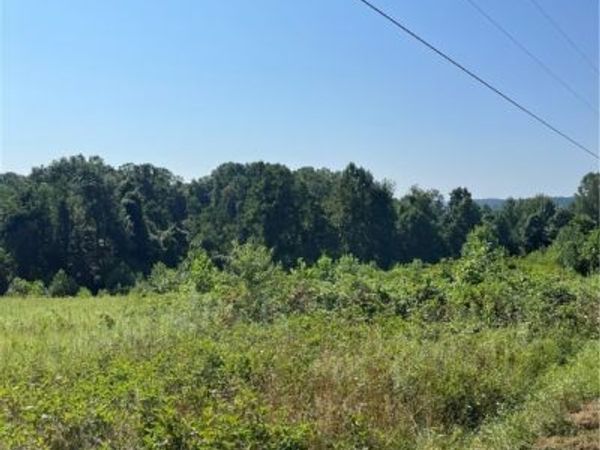 0 Timber Road, Bergholz, OH 43908