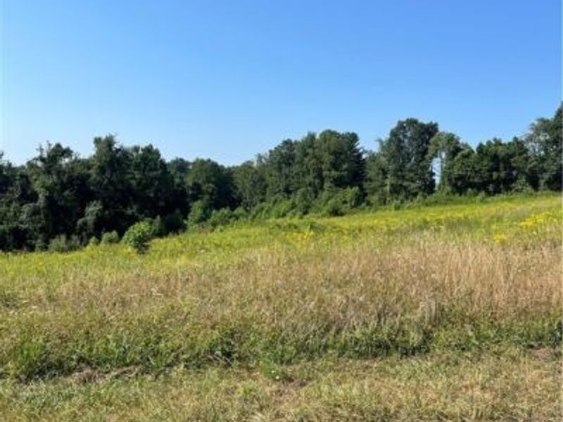 0 Timber Road, Bergholz, OH 43908 Photo 3