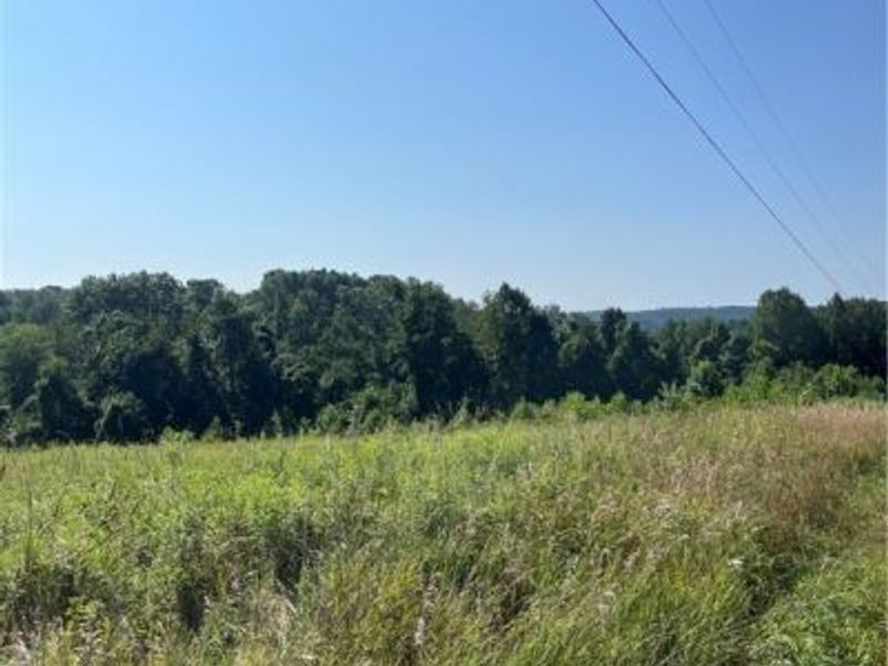 0 Timber Road, Bergholz, OH 43908 Photo 4