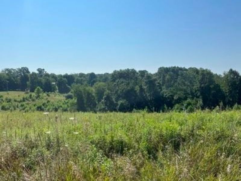 0 Timber Road, Bergholz, OH 43908 Photo 5