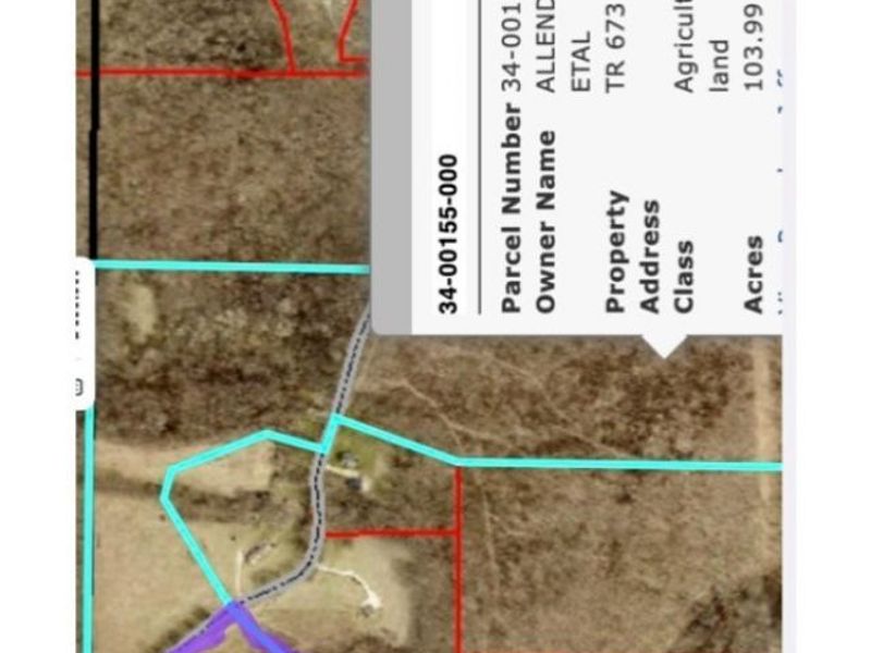 0 Timber Road, Bergholz, OH 43908 Photo 6