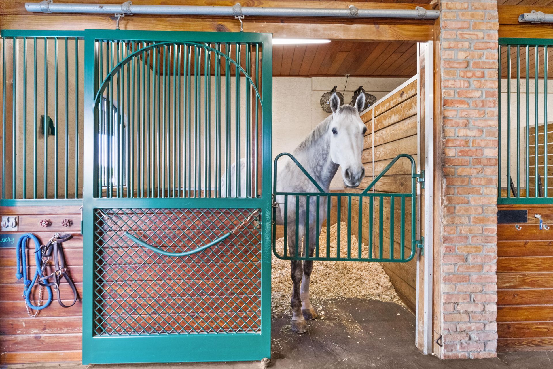 3509 Grand Prix Farms Drive, Wellington, FL 33414 Photo