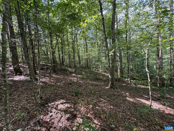 TM 24-1 MITCHELL MOUNTAIN RD, Haywood, VA 22722