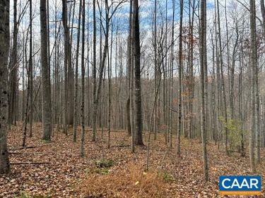 TM 23-5A MITCHELL MOUNTAIN RD, Haywood, VA 22722