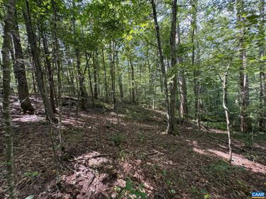 TM 24-1 MITCHELL MOUNTAIN RD, Haywood, VA 22722