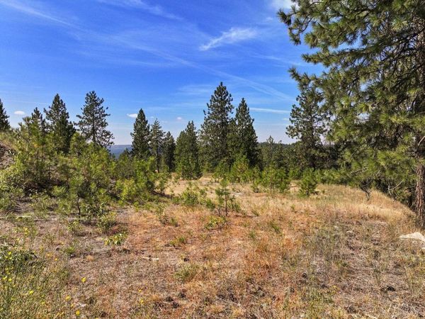 NKA N Cliff Ln, Spokane, WA 99208