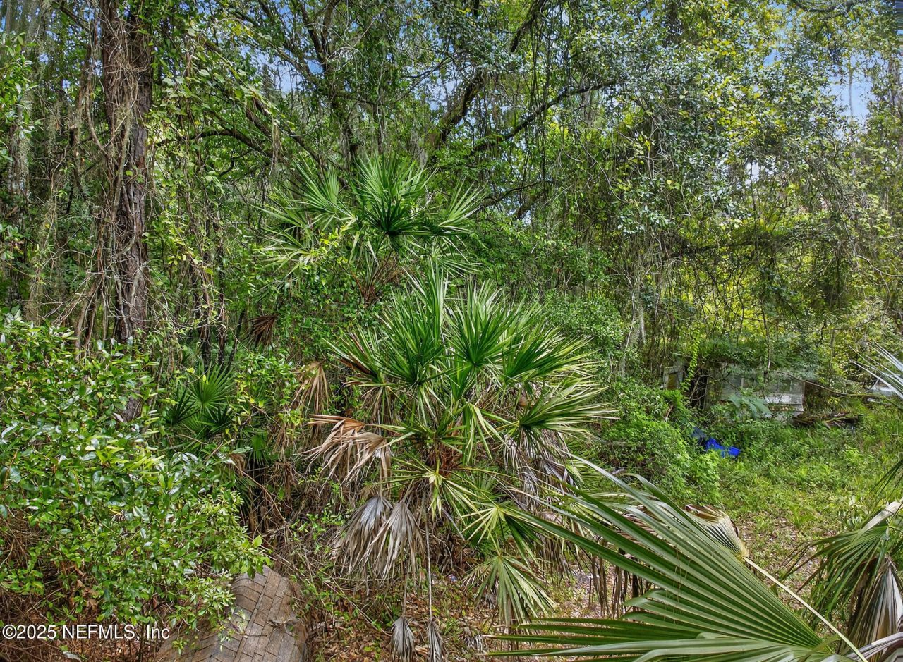 933 John Street, Saint Augustine, FL 32084 Photo