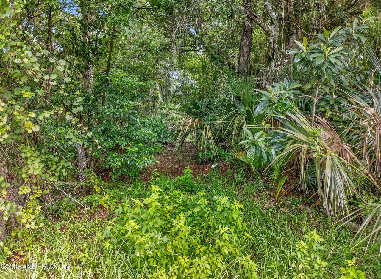 933 John Street, Saint Augustine, FL 32084 Photo