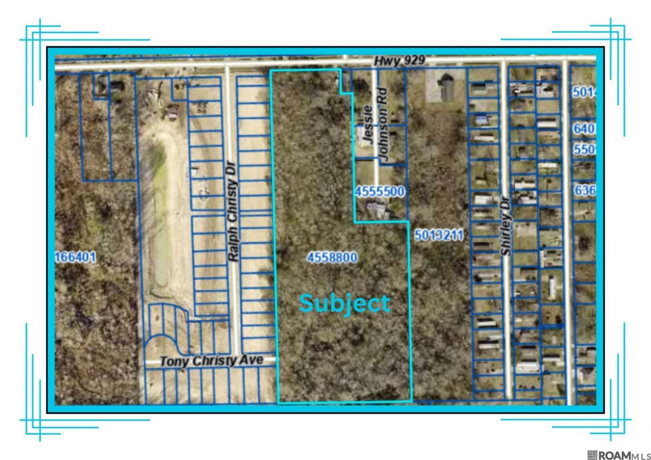 39165 La Hwy 929, Prairieville, LA 70769 Main Photo