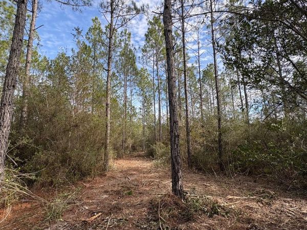 Herman Ladner Road, Saucier, MS 39574