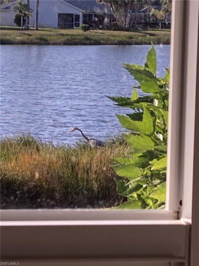 3685 Stone Way, Estero, FL 33928 Photo