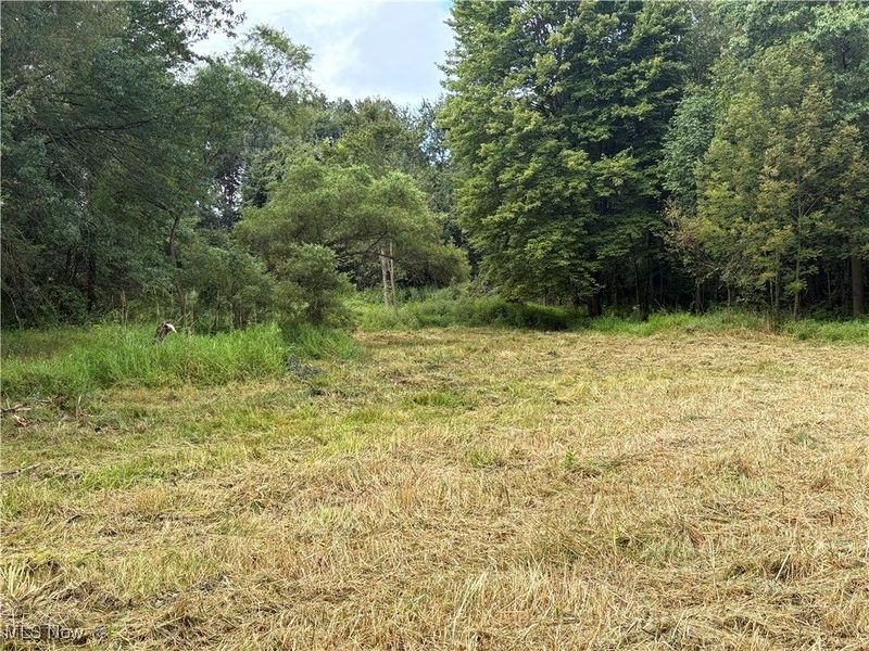 Hartville Road N, Randolph, OH 44632 Photo 10