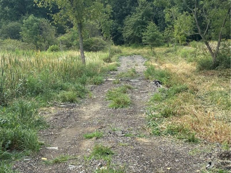 Hartville Road N, Randolph, OH 44632 Photo 3