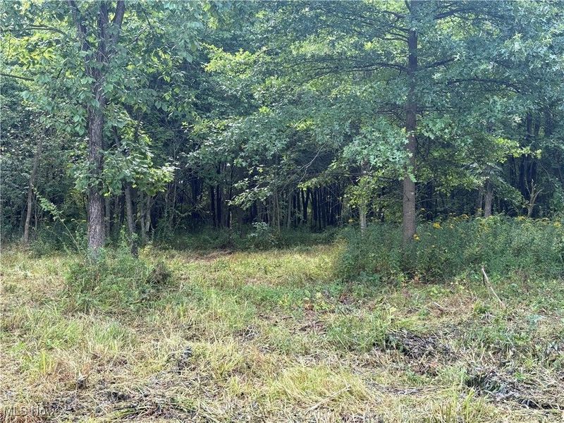 Hartville Road N, Randolph, OH 44632 Photo 4