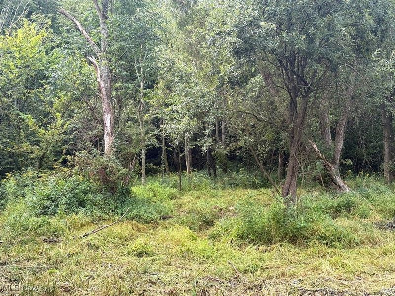 Hartville Road N, Randolph, OH 44632 Photo 4