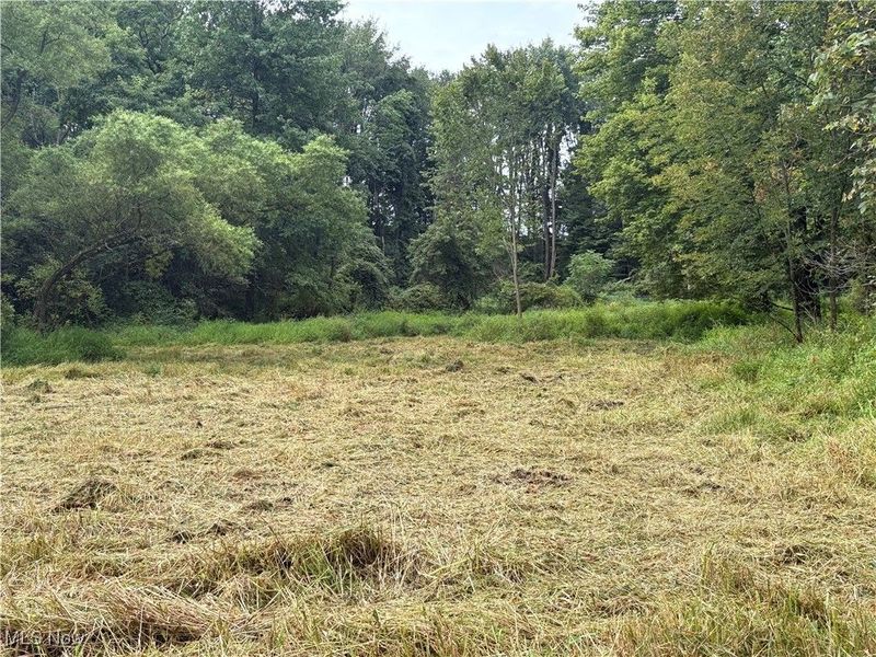 Hartville Road N, Randolph, OH 44632 Photo 5