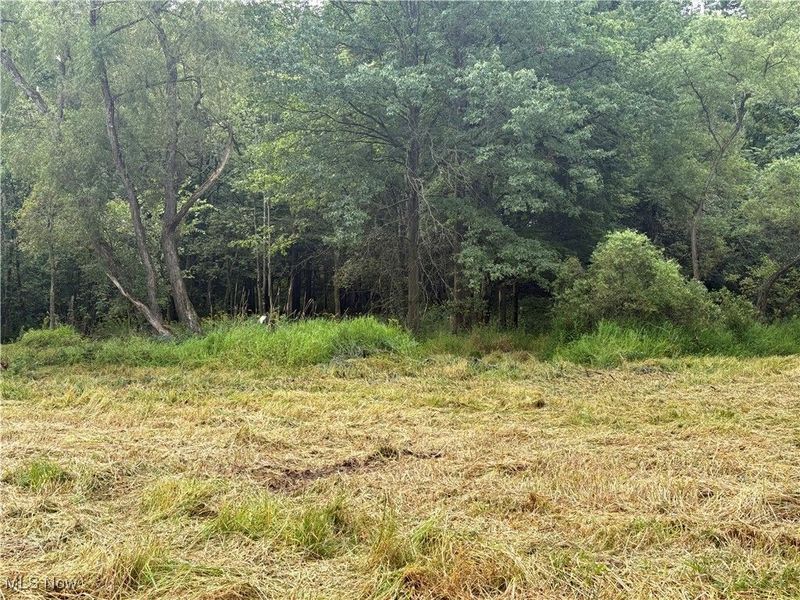 Hartville Road N, Randolph, OH 44632 Photo 6