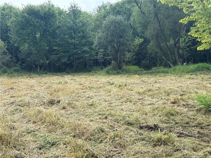 Hartville Road N, Randolph, OH 44632 Photo 7