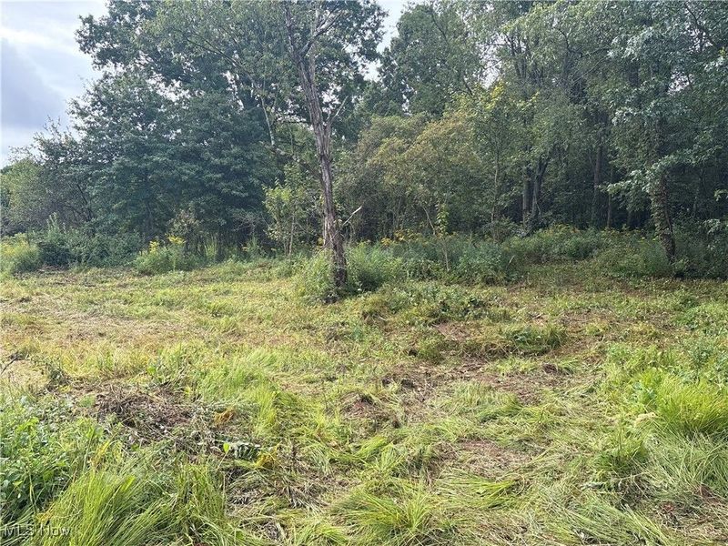 Hartville Road N, Randolph, OH 44632 Photo 8