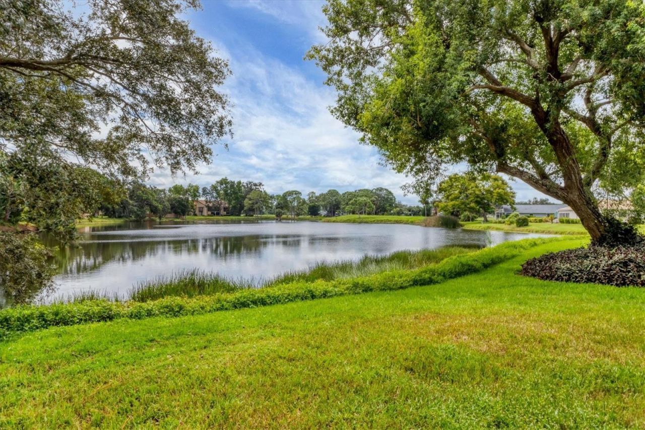 3244 Ringwood Meadow, Unit 77, Sarasota, FL 34235 Photo