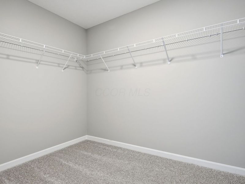 3993 Colts Reign Drive, Powell, OH 43065 Photo 30