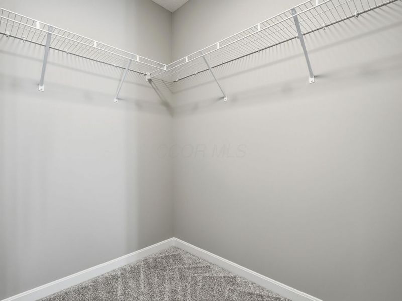 3993 Colts Reign Drive, Powell, OH 43065 Photo 31