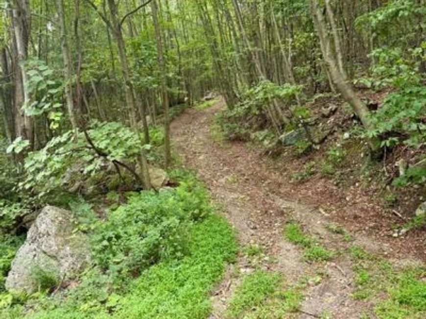 Mountain Road, James Creek, PA 16657 Main Photo