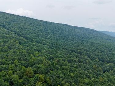 MOUNTAIN ROAD, JAMES CREEK, PA 16657