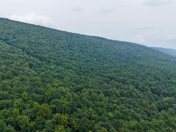 MOUNTAIN ROAD, JAMES CREEK, PA 16657