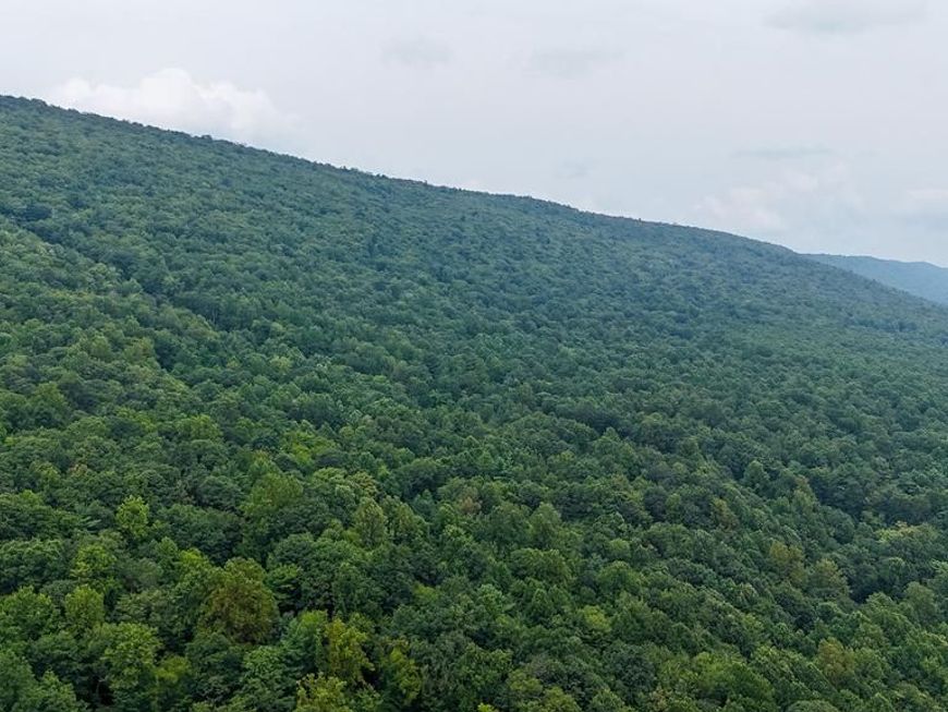 Mountain Road, James Creek, PA 16657 Main Photo