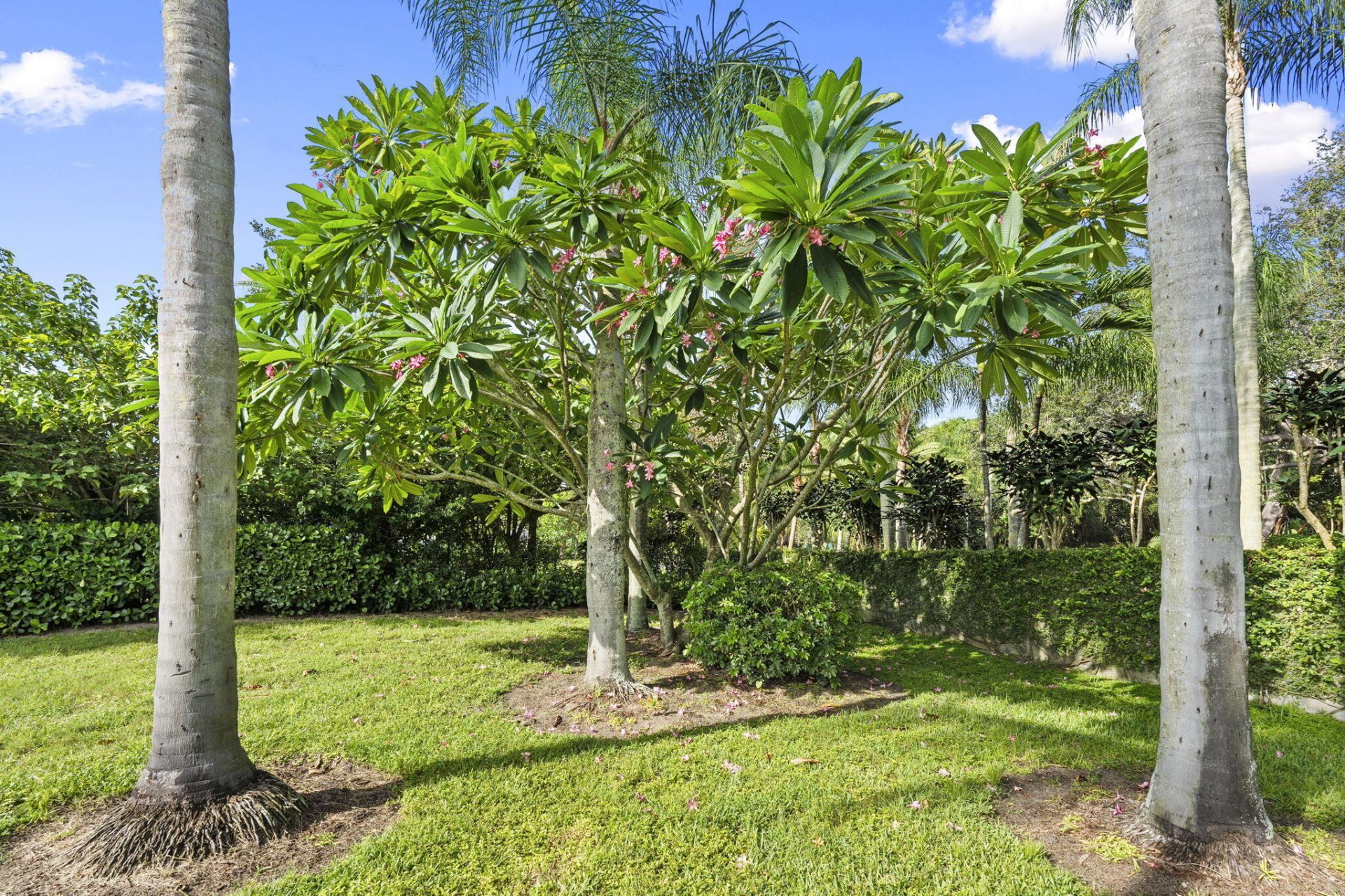 2694 NE Sewalls Landing Way, Jensen Beach, FL 34957 Photo