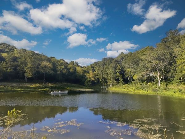 0 Lazy Branch Road, Wartrace, TN 37183