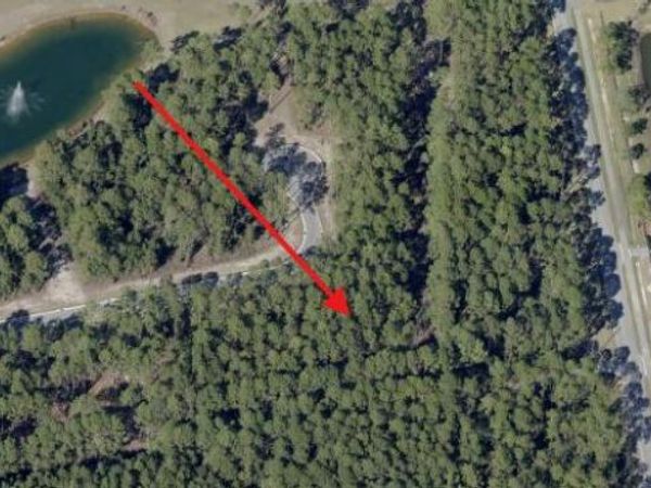 lot 37 E Captain Fritz Way, Freeport, FL 32439