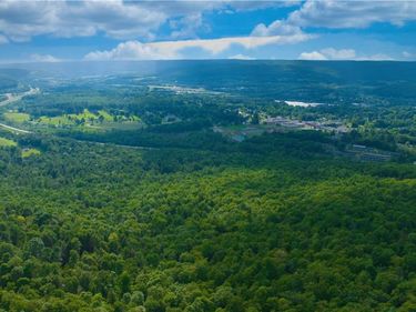 0 Pine Hill Road, Sidney, NY 13838