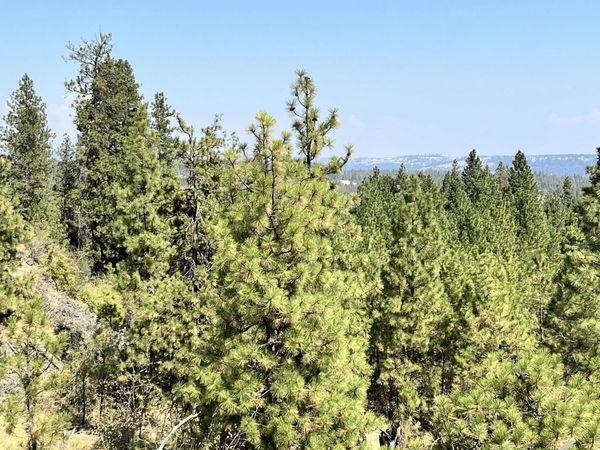 8200 W Mission Rd, Spokane, WA 99224