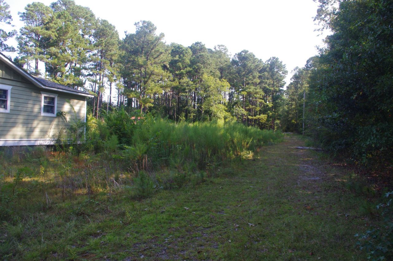 243 Bridalwreath Drive Photo 14