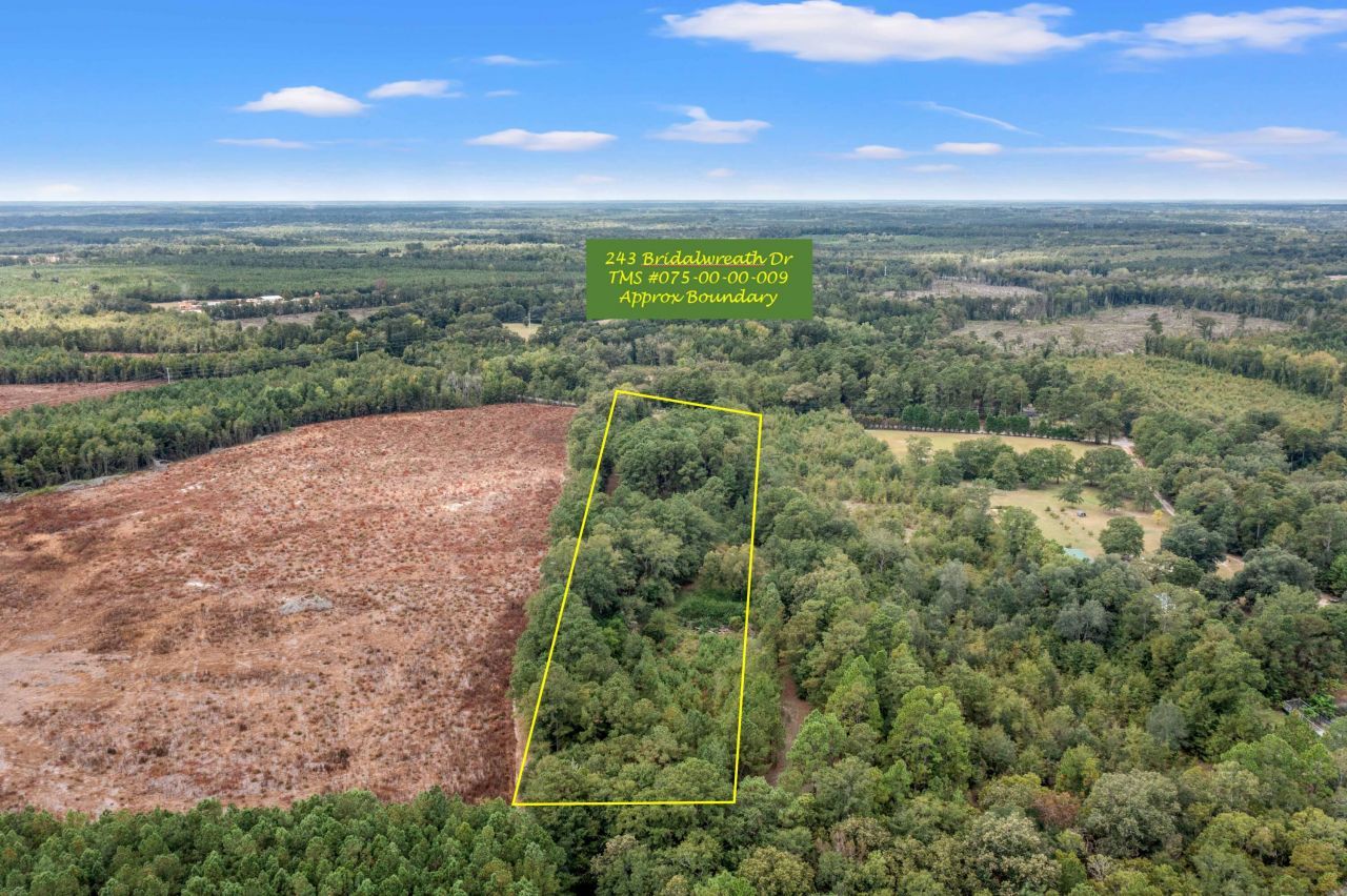 243 Bridalwreath Drive Photo 2