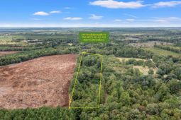 243 Bridalwreath Drive photo 4