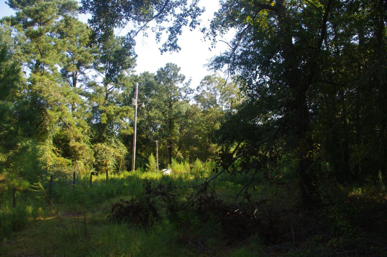 243 Bridalwreath Drive Photo 21