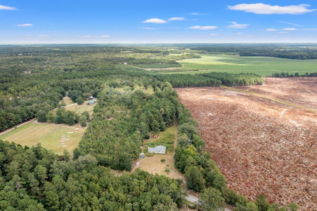 243 Bridalwreath Drive Photo 8