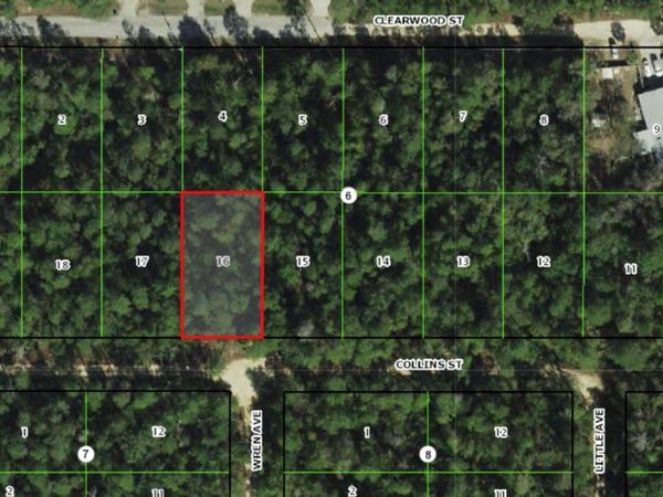 2912 COLLINS STREET, INVERNESS, FL 34452