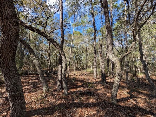 120 & 122 NORTH CAROLINA DRIVE, SATSUMA, FL 32189