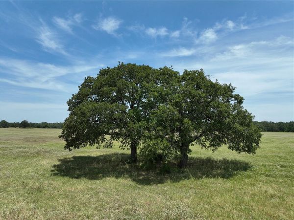 Lot 3 TBD CR 127 RD, Ledbetter, TX 78946